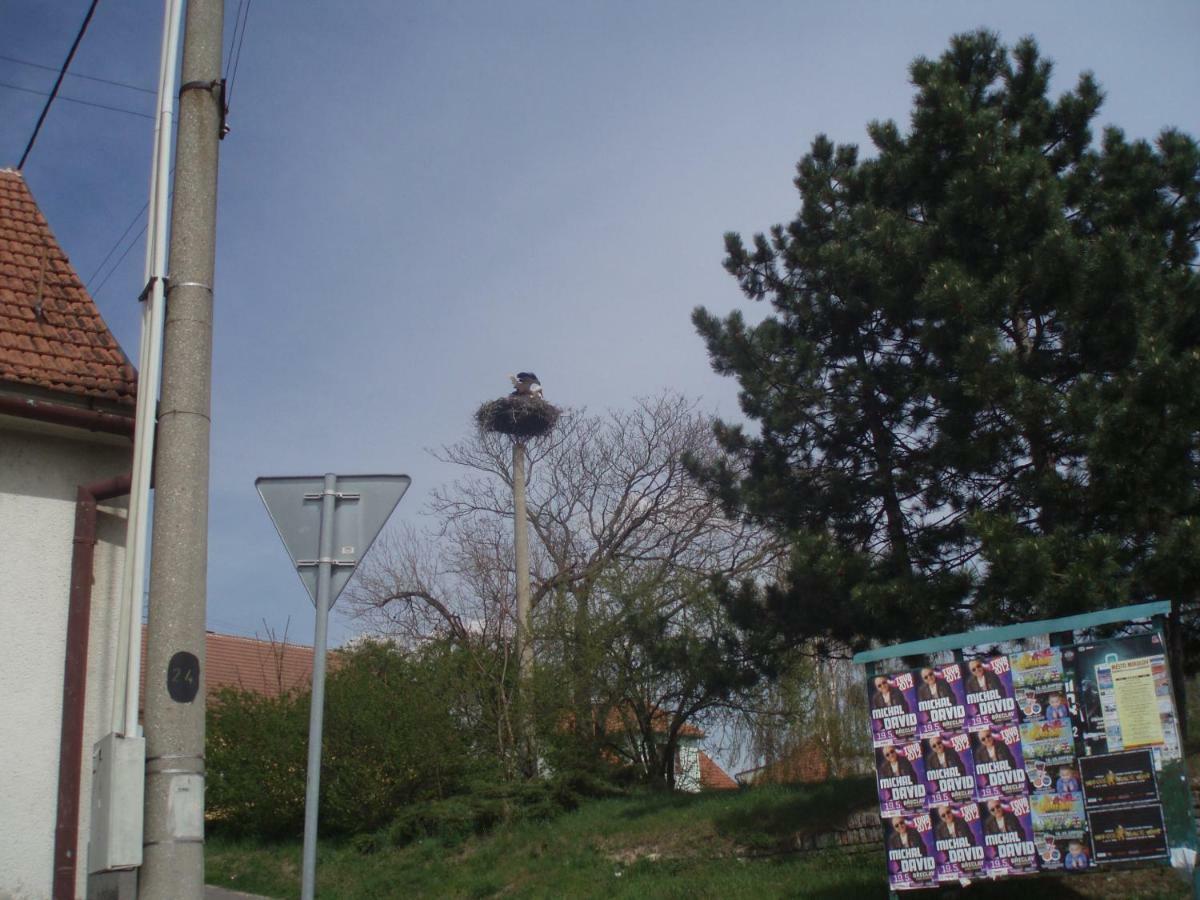 "U Capa" Krasny Apartman V Sedleci 세들레츠 외부 사진