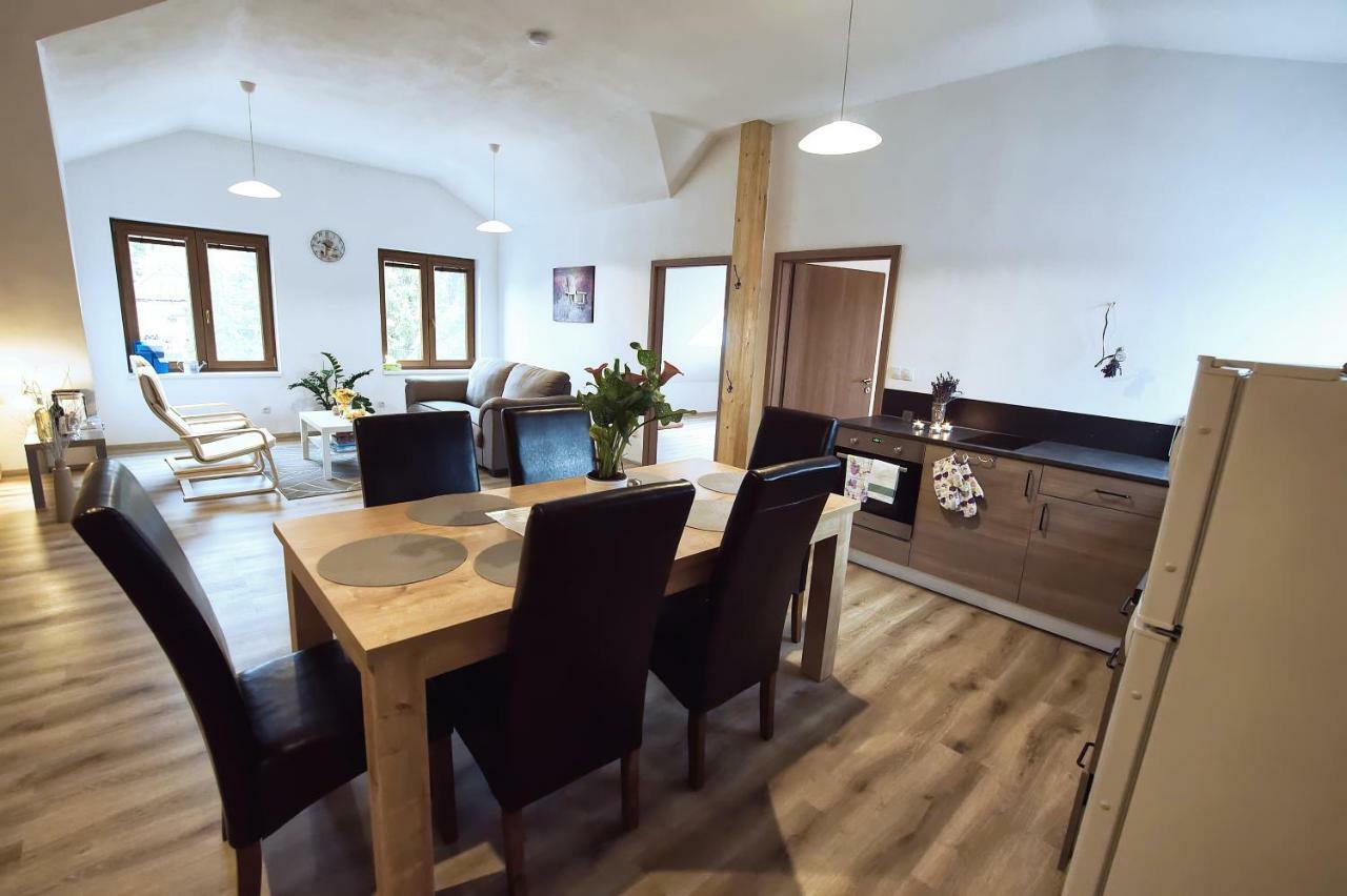 "U Capa" Krasny Apartman V Sedleci 세들레츠 외부 사진