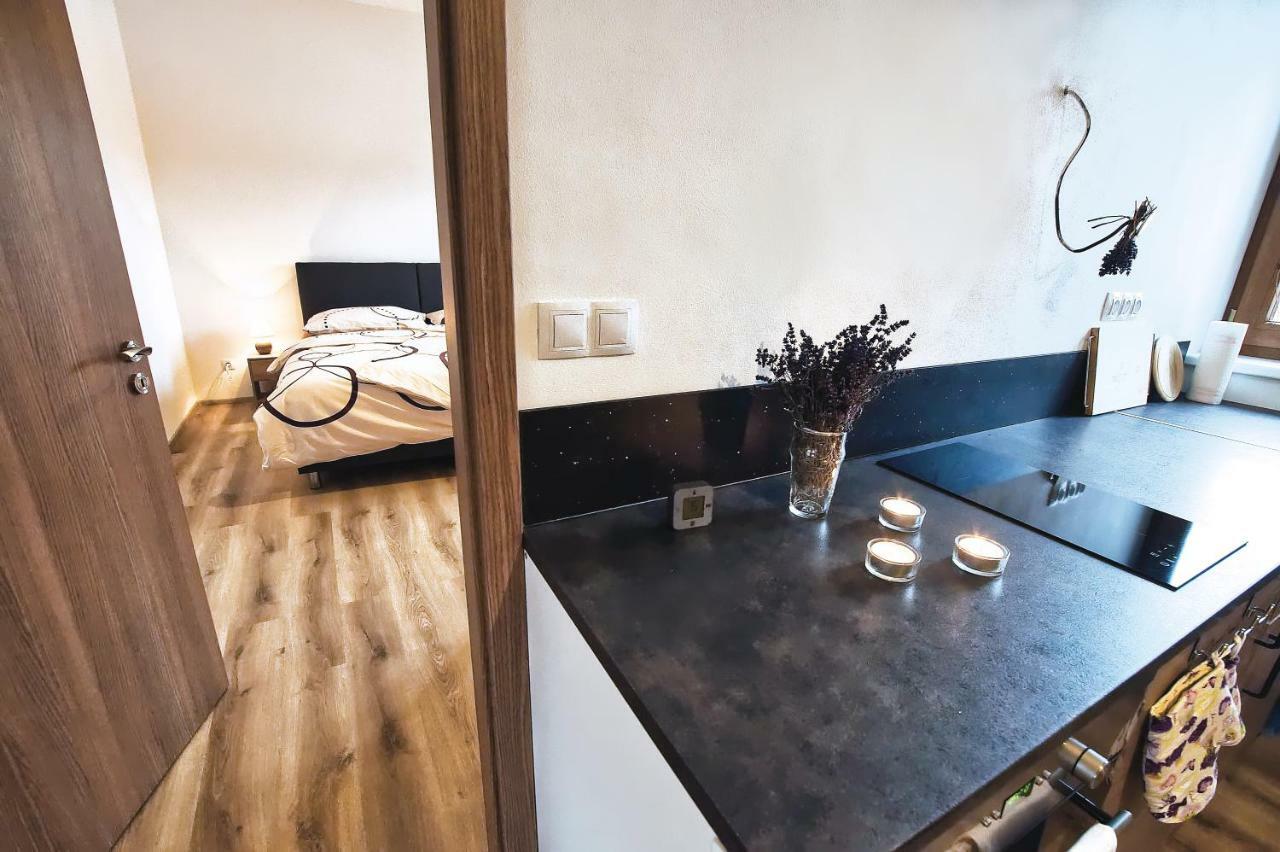 "U Capa" Krasny Apartman V Sedleci 세들레츠 외부 사진